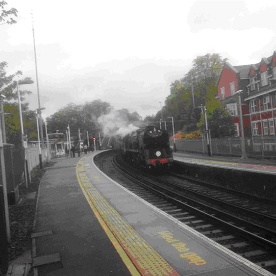 Reedham Station Event – 8th July